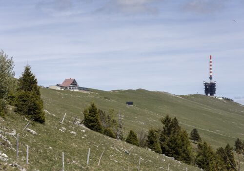 Der Chasseral, der hoechste nicht-alpine Gipfel im Kanton Bern und verkanntes Naturparadies, am 21. Mai 2026 in Nods. Foto: Nicole Philipp/Tamedia AG
